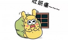 朝阳吃瓜群众网,揭秘娱乐圈幕后故事，带你领略不一样的娱乐圈